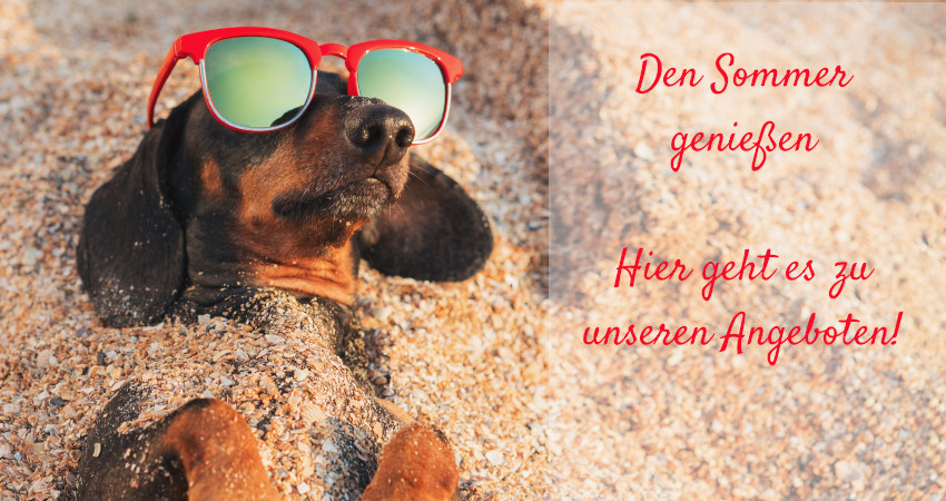 Grafenland Shop Gesundes für den Hund Grafenland Shop Gesundes