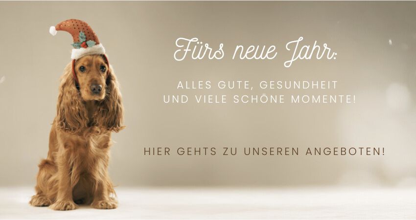 Unsere aktuellen Angebote