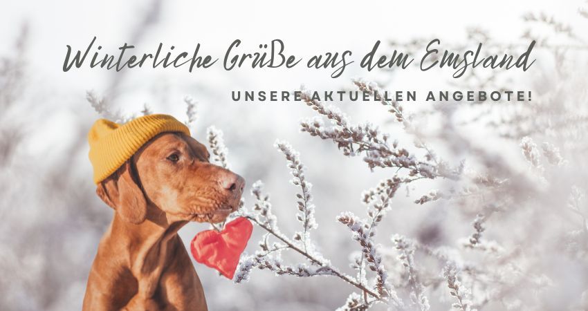 Unsere aktuellen Angebote