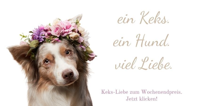 Hundekekse im Angebot