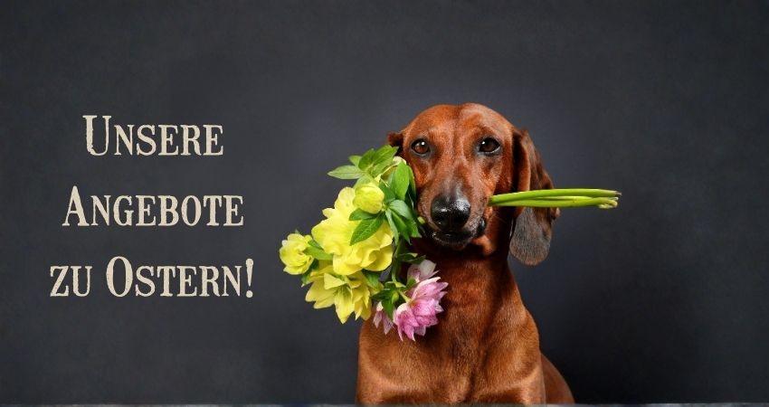 Unsere aktuellen Angebote