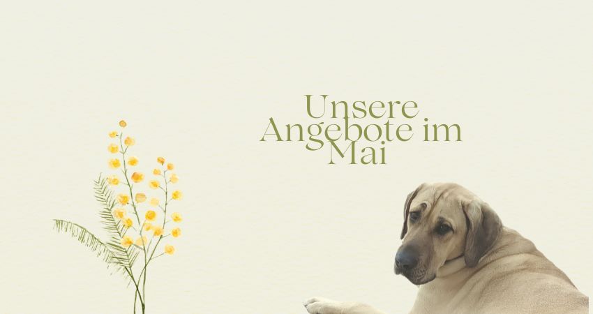 Unsere Angebote im Mai