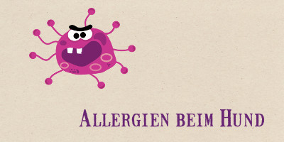 Allergien beim Hund - Allergie beim Hund